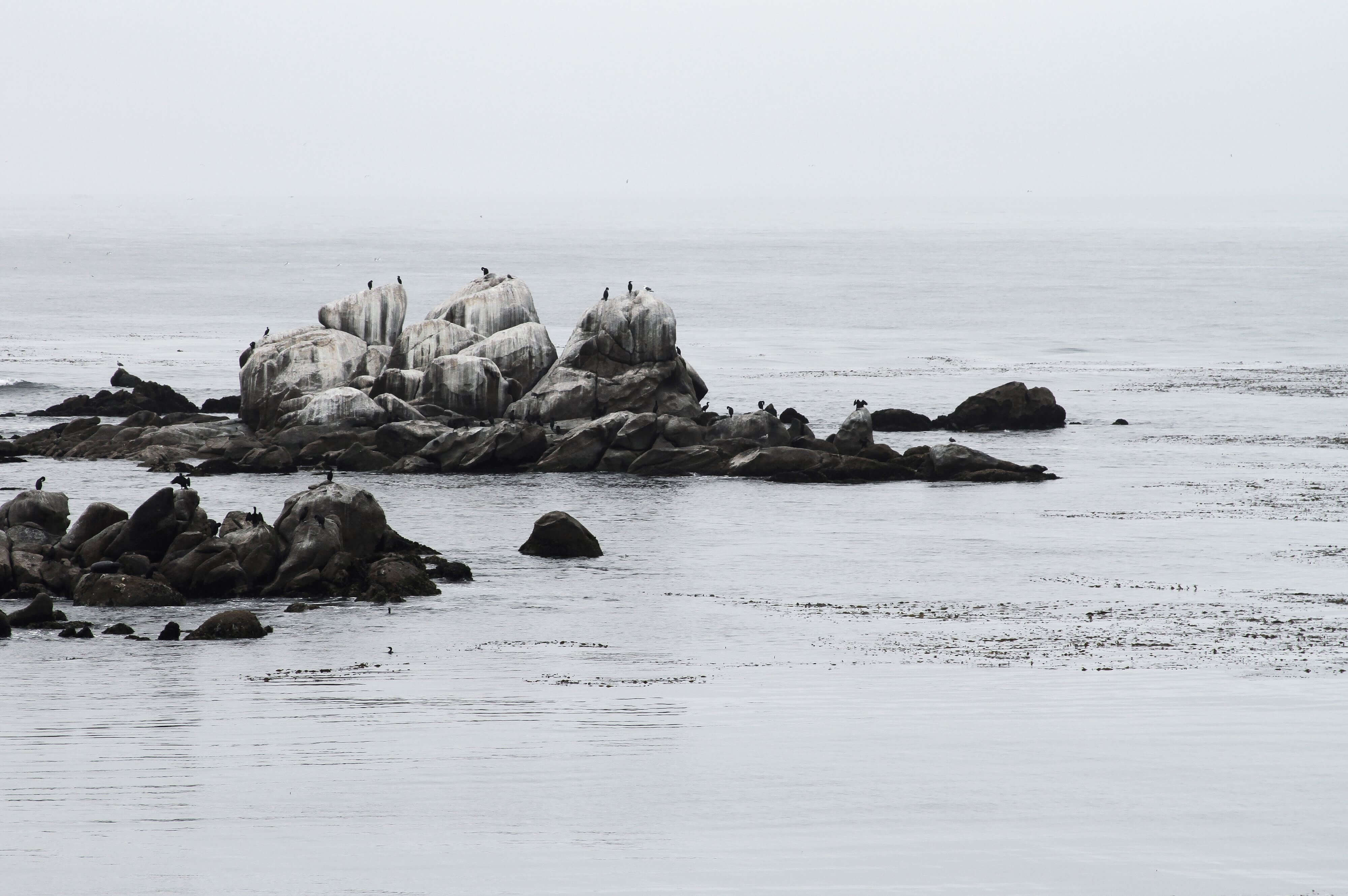 rocks in monterey bay