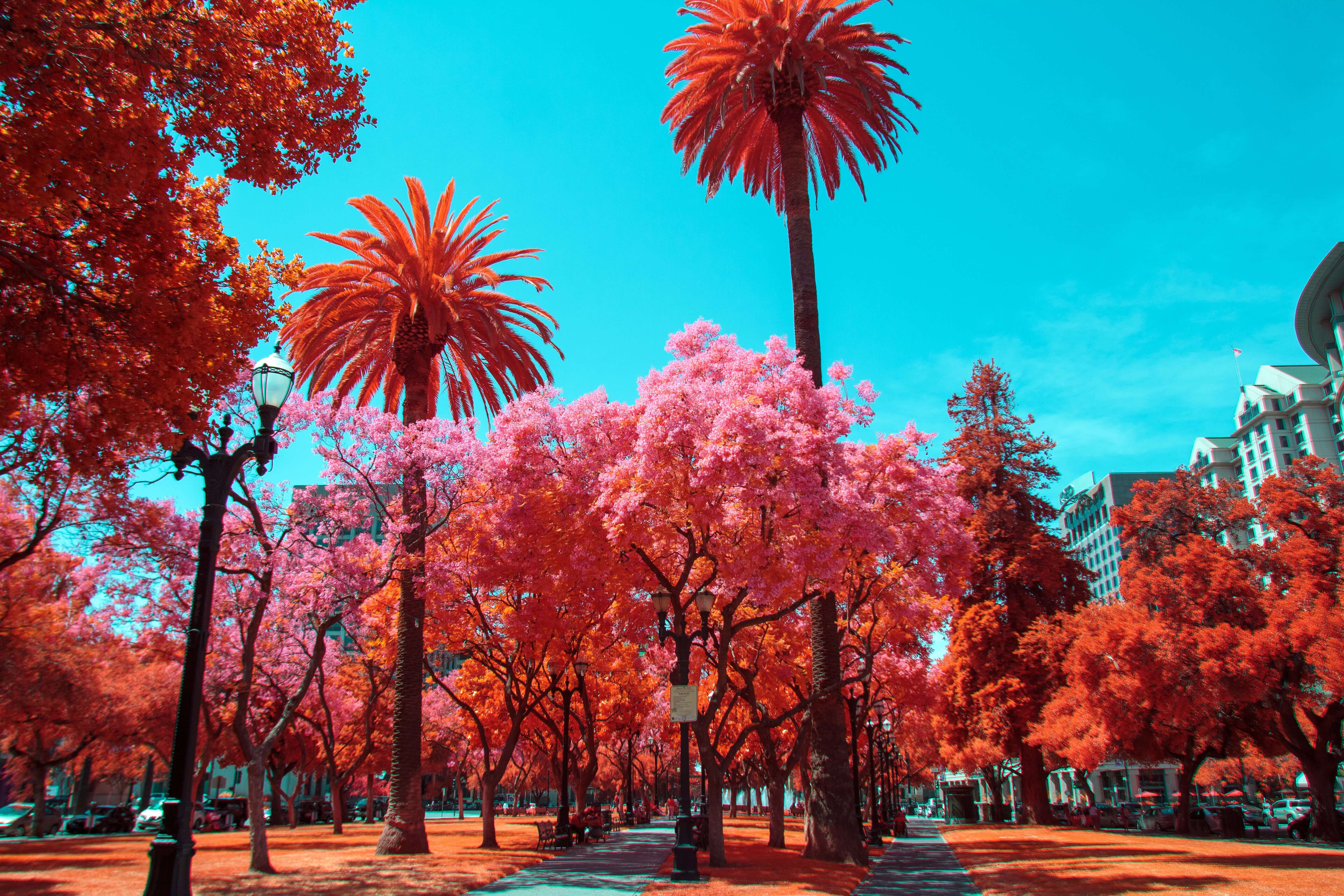 San jose road trip