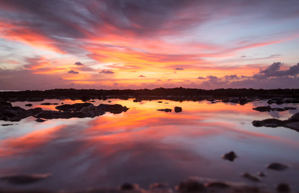 Pinky Sunset in Florida